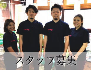 �X�^�b�t��W